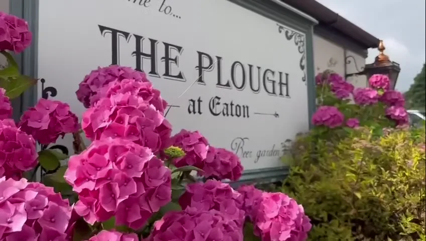The Plough at Eaton sign framed by pink hydrangeas